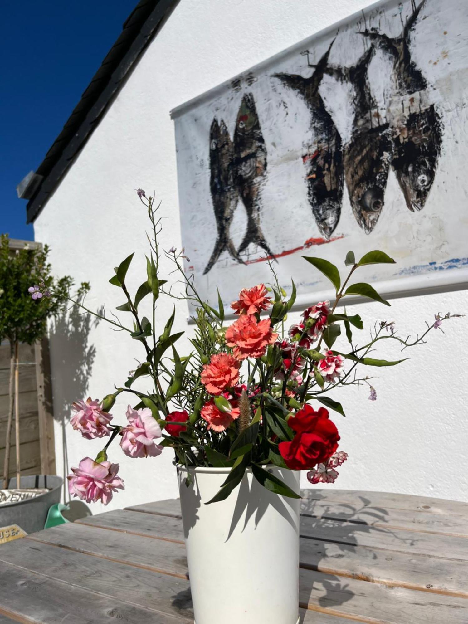 Bed and Breakfast L'Atelier De Mezareun Ushant Zewnętrze zdjęcie