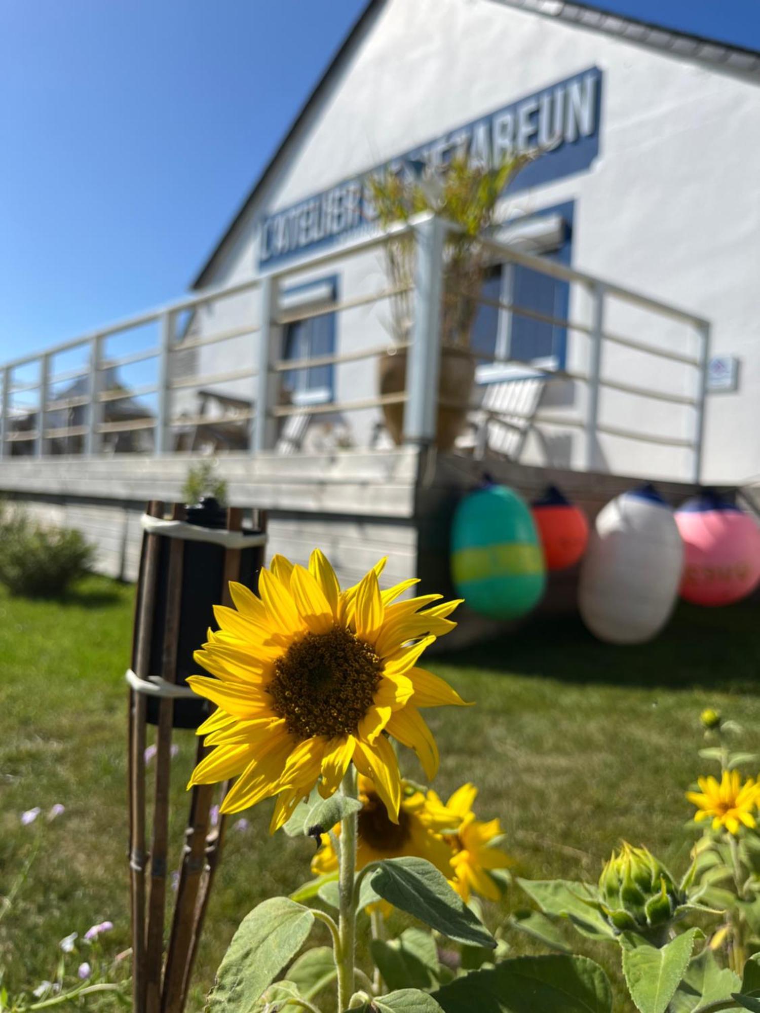 Bed and Breakfast L'Atelier De Mezareun Ushant Zewnętrze zdjęcie